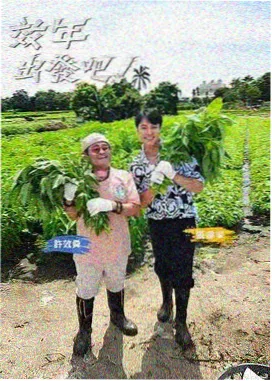 柠檬汽水 剧集封面 青春成长编目卡片
